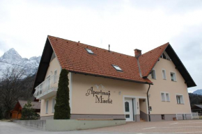 Apartmaji Misotič